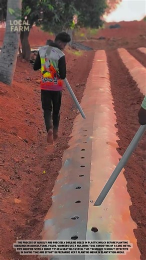 Revolutionary DIY Pipe Tool for Easy Mulch Film Punching! | Smart Farming Hack