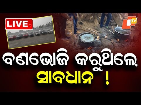 🔴Live | ପିକନିକରେ ଯାଉଥିଲେ ସାବଧାନ! | Picnic Party | New Year Celebration| Odisha TV | OTV