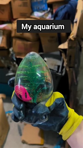 ohh hello there #fun #funny