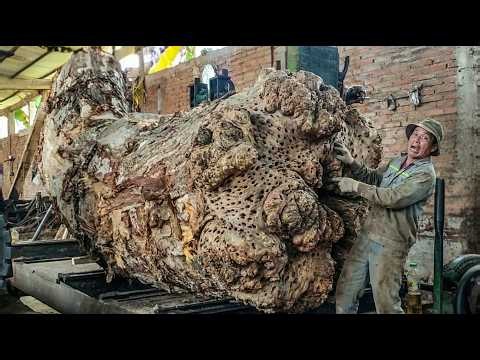 The Most Satisfying Trembesi Cutting Process Ever Recorded