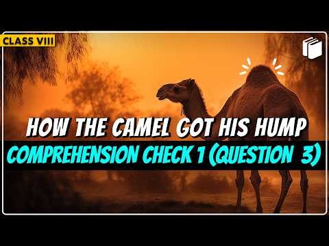 Question 3 | Comprehension Check 1 | Chapter 1 | Class 8 English | It So Happened | PuStack
