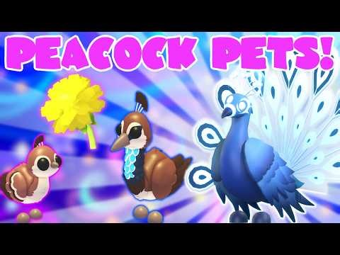 NEW Peacock Pets! Moonbeam Peacock, Peachick, and Peahen | Adopt Me Salon Update Roblox | Riivv3r