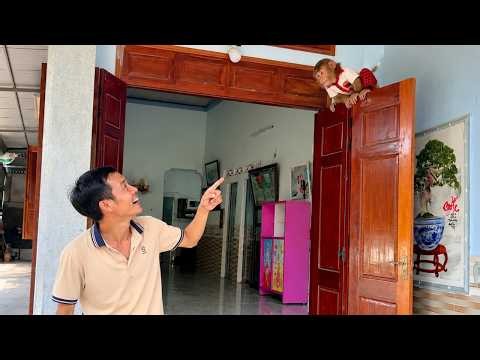 CUTIS Hide and Seek Game... Funny Reason Dad Finds Him so Hilarious!