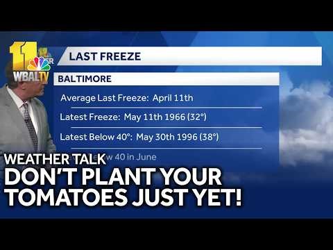 Weather Talk: Don't plant your tomatoes just yet!