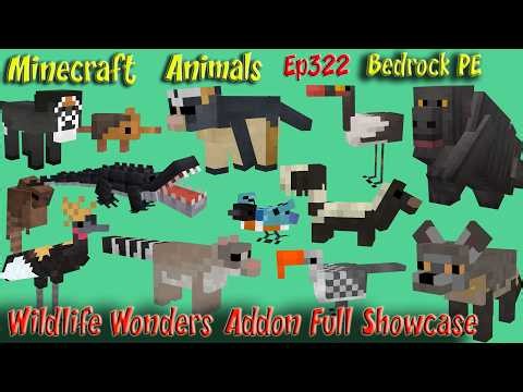 Wildlife Wonders Addon Showcase | Wildlife Wonders Mod | Bedrock PE | Minecraft Animals Ep322