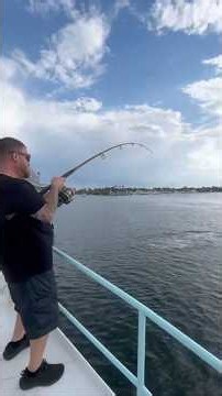 World record Tarpon Florida fishing 🎣🌴 #fishing #fishinglife #bigfish