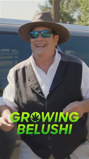 Dan Aykroyd in Growing Belushi #danaykroyd #growingbelushi #jimbelushi #ytshorts #thebluesbrothers