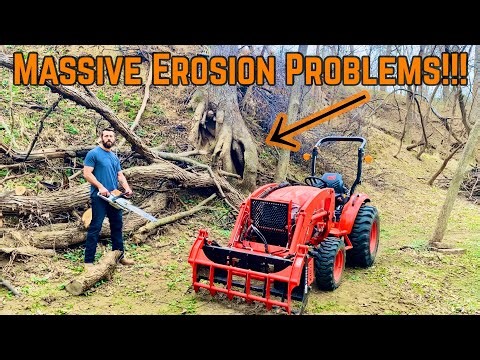 Insane Land EROSION Is DESTROYING My Trees!!!