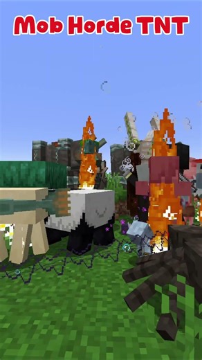 These TNTs aren’t normal in Minecraft 💀