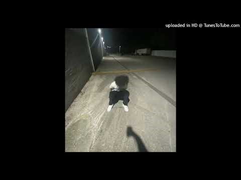 [free for profit] jerk + hoodtrap + sample type beat "goodbye 2025"