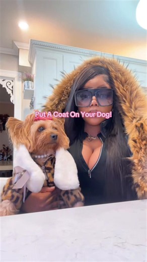 Yearly Reminder: Put a Coat On Your Fur Baby! 🫶🏽