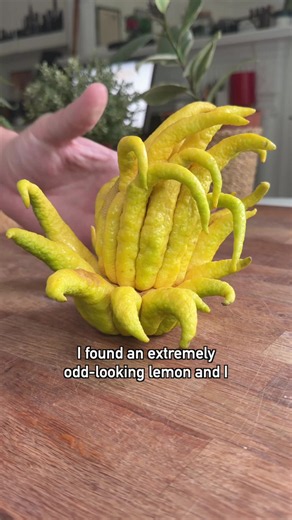 Very expensive mystery lemon | Lemon