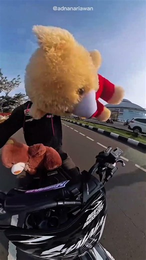 Rider Gifted Cutest Teddy Bears