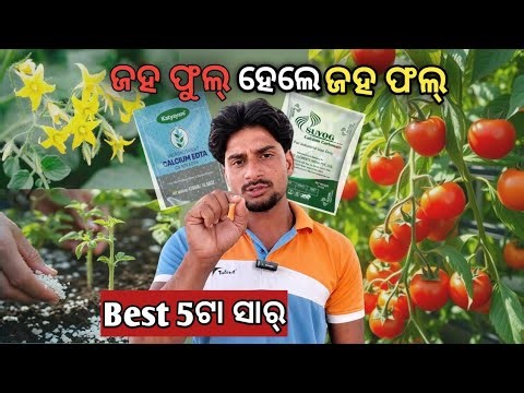 🌼 Flowering Stage Secrets! (Role of P, K, Boron & Calcium in Crops) 🌱