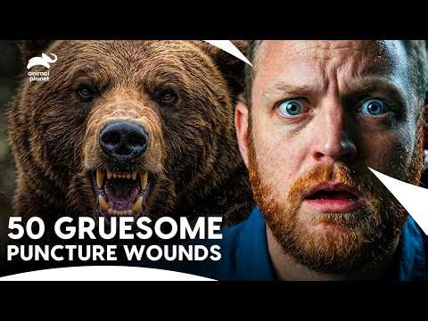 Fighting A Grizzly With Logging Boots | I Was Prey S1 E5 | Animal Planet India