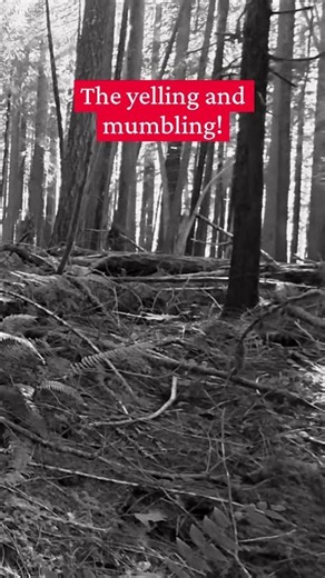 Bigfoot #crypid #paranormal #oregon #mushroom #nature #wildlife #outdoors #weirdplace #mysterious