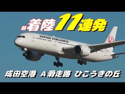 【4K】成田空港 ひこうきの丘 Ａランに離着陸する飛行機11連発