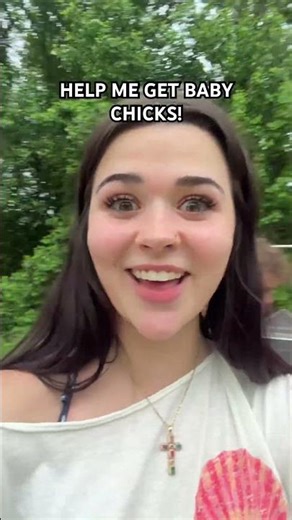 HELP! I really want more chickens