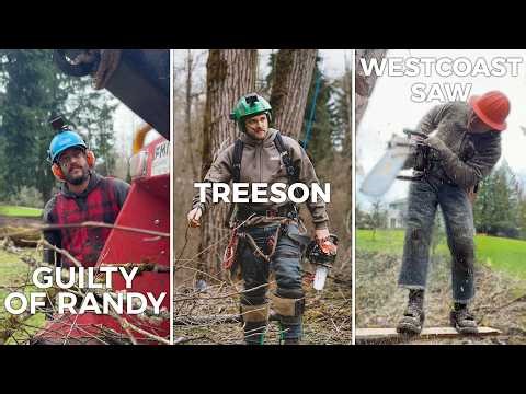 5 Years Later… We’re Back at Gordy’s for Another HUGE Cottonwood Removal!