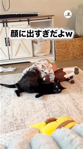 顔にですぎだよw｜PECO