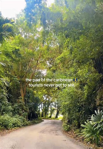 Macaroons, if you can… book an island safari so you can see beyond the beaches 😎🏝️ #barbados #visitbarbados #americanslivingabroad #thisisladymac