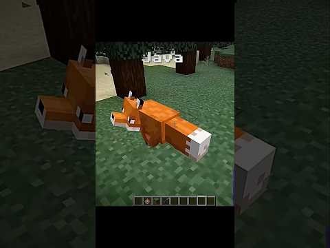 Java vs Bedrock – Which is Better? 🤯.... #minecraft