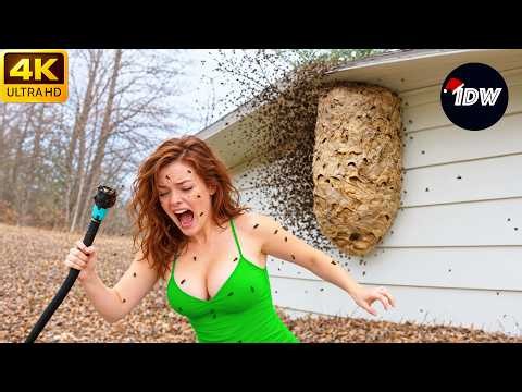 TOTAL IDIOTS AT WORK #274 | Instant Regret Fails Compilation 2026 | Best Fails of the Month