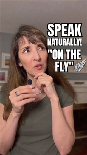 What Does the Idiom “ON THE FLY” Mean? | Speak More Naturally