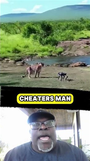 THE RISE OF NON ANIMALS ROBOTS