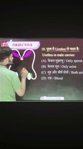 Human Reproduction Important Diagram || Class 12th || Biology #bseb #biology #cbse #neet #2027inter