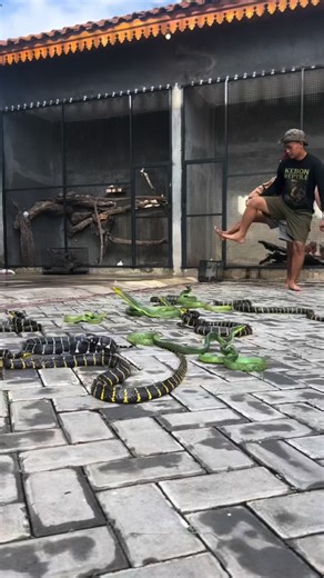Malik S. on Instagram: "Extreme hopscotch… . . #hopscotch #snake #instagramreels #rebootearth #reel"