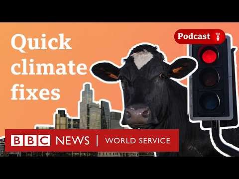 Are there any quick climate fixes? - The Climate Question podcast, BBC World Service