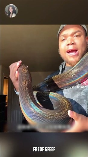 The Truth About the Python With Shimmering Rainbow Scales!