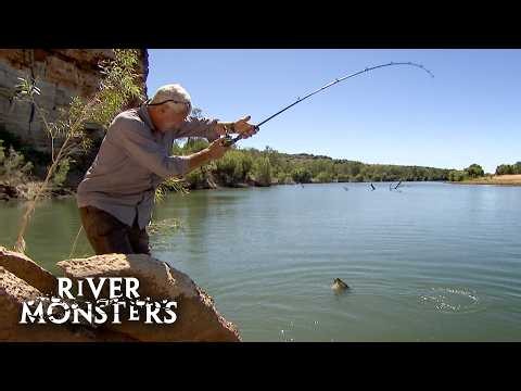 17 Best Fishing Catches In Australia | River Monsters