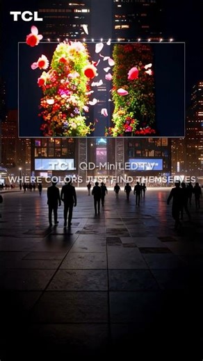 Watch Flowers Flourish in the City with TCL QD Mini-LED TVs