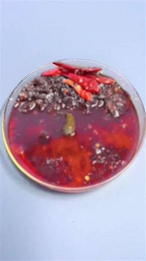 #usa🇺🇸 #fyp #mosquito #bee #leche | bee