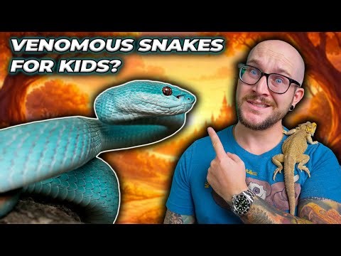 Parents are Buying VENOMOUS SNAKES For Their KIDS!