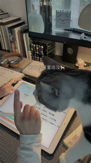 6:00AM Study With Me ☀️ Morning Aesthetic Study Vlog #studymotivation #studywithme #study #studyvlog