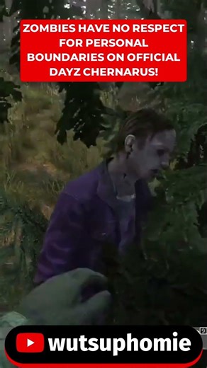 Zombies don't care about your personal space on Official DayZ! #officialdayz #chernarus #dayzclips