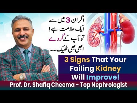 Good News | 3 Signs That Your Failing Kidney Will Improve | Do NOT loose HOPE