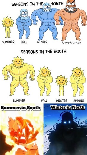 Seasons in the North vs South Be Like 💀🔥❄️#memes #edit #funny