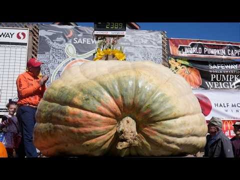 Giant pumpkin named Rocky gives champion grower his CA comeback