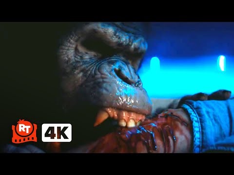 Primate (2025) 4K - Rabid Chimp Chomp (2/10) | Movieclips
