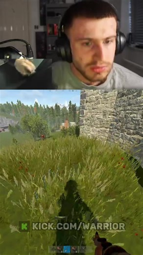 Actually Free Rust Game