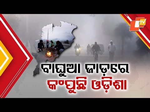 Biting Cold Grips Odisha in Magha, Temperatures Dip Sharply Across the State