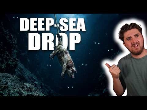 Scientists Sank a Pig Into The Deep-Sea, and It Went Very Wrong