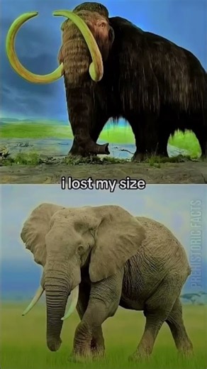 Everyone looses something sometimes!!