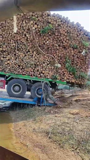 Logging Truck Ferry Crossing in Rural Forest Areas