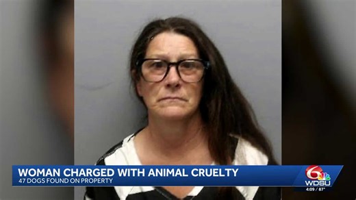 Authorities seize dogs, horses and pony in St. Bernard animal cruelty case