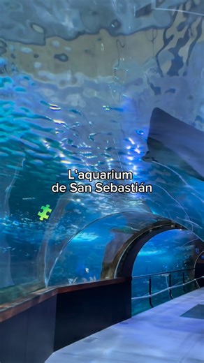La vie basque par Marine Fougère 🐴 Bonnes adresses Pays Basque on Instagram: "@aquariumss San Sebastián 🌊 : une balade immersive sous la mer On plonge ensemble dans l’univers fascinant de l’Aquarium de San-Sebastián, situé dans le vieux port juste à côté du centre-ville 😍 C’est l’un des musées océanographiques les plus visités de la région, dans un bâtiment emblématique construit en 1928, où l’on découvre à la fois l’histoire maritime, des dizaines d’espèces marines et une incroyable expérien